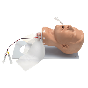 Adult Deluxe Airway Management Trainer with Board